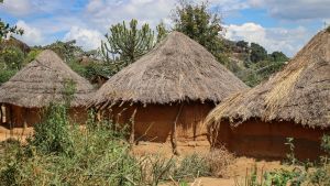 Mud huts in African village